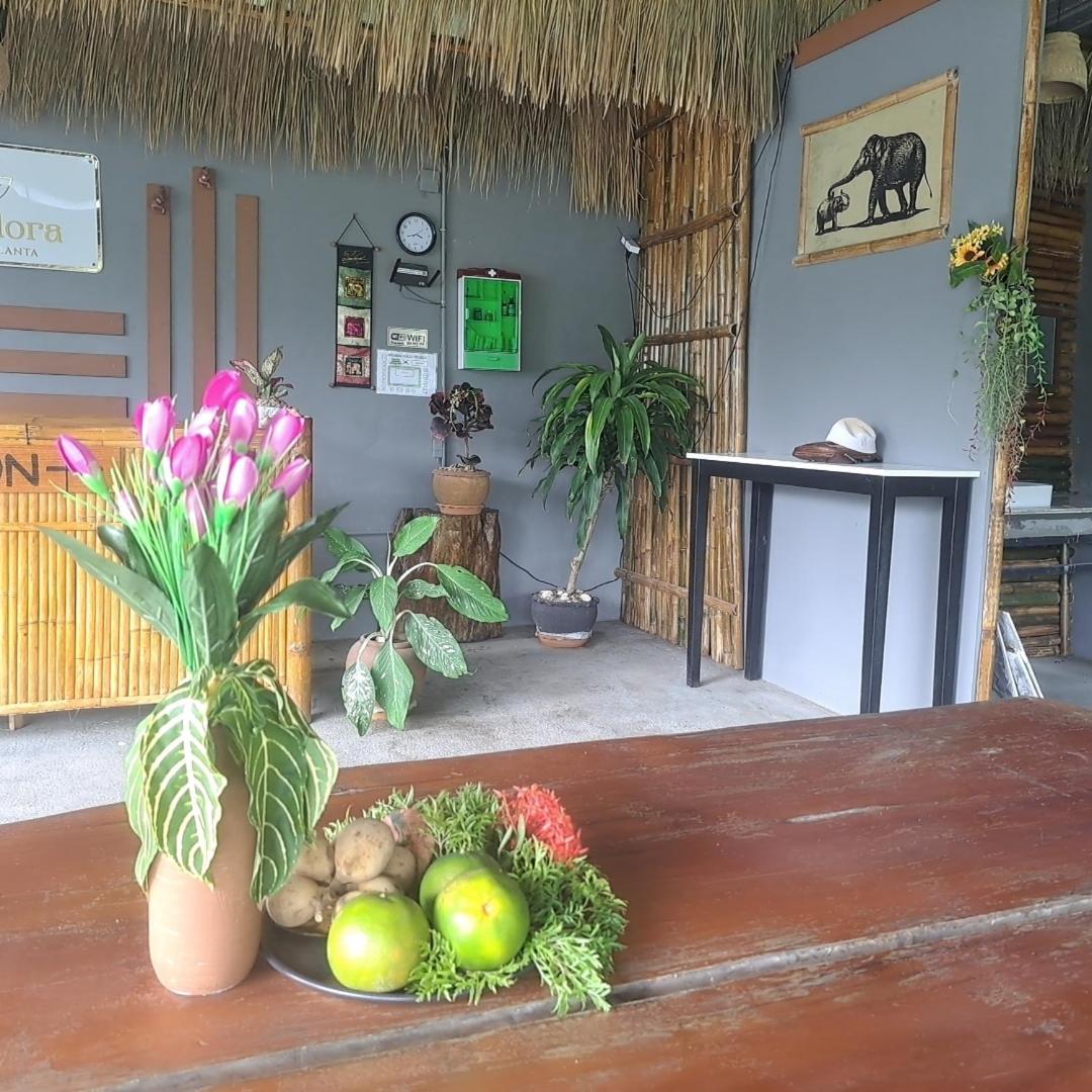 Hotel Wanderlust Retreat Ko Lanta Exterior foto