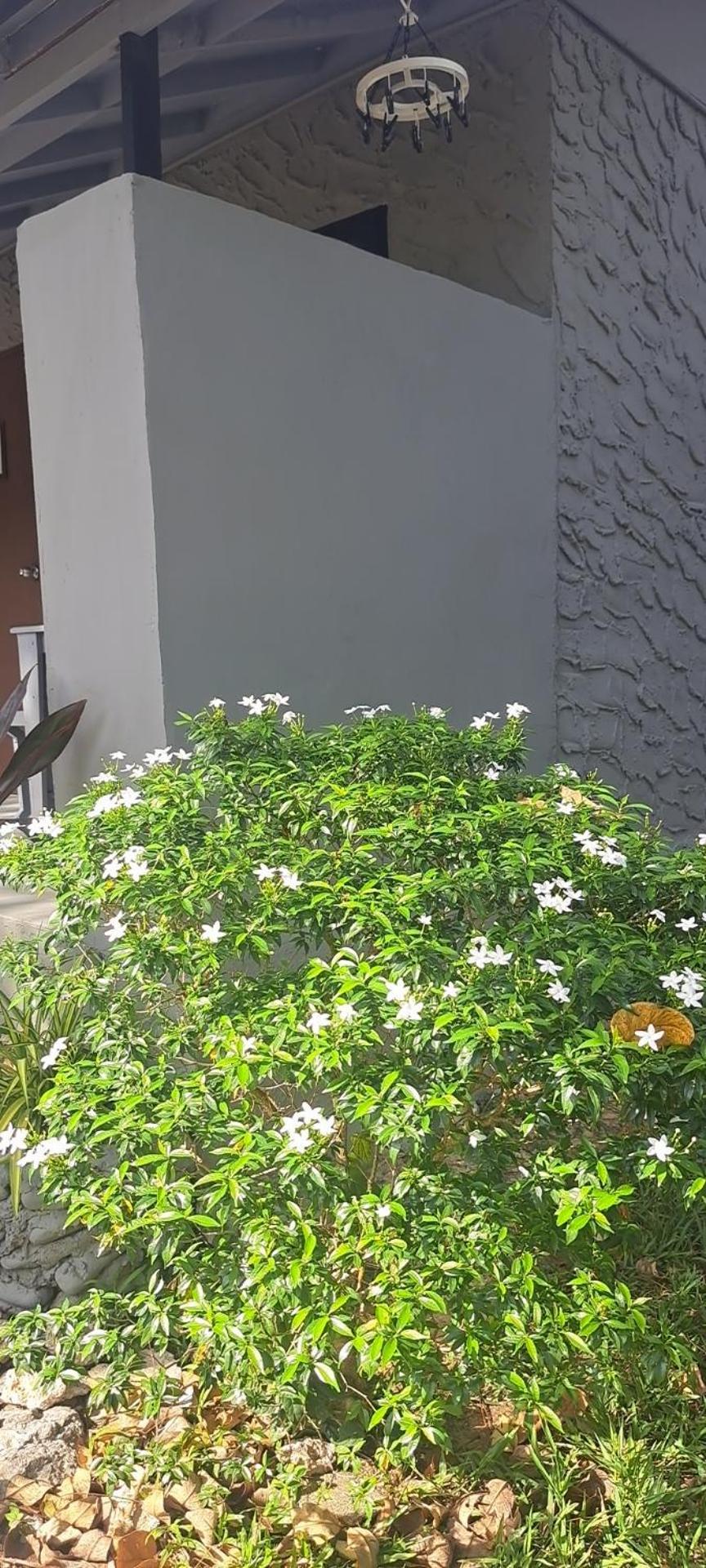 Hotel Wanderlust Retreat Ko Lanta Exterior foto